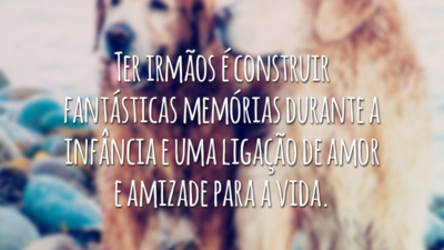 Ter irmãos é construir fantásticas memórias durante a infância e uma ligação de amor e amizade para a vida.