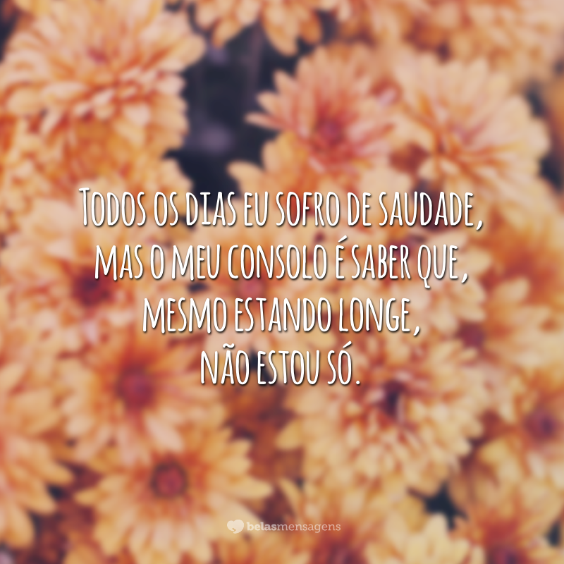 Todos os dias eu sofro de saudade, mas o meu consolo é saber que, mesmo estando longe, não estou só.