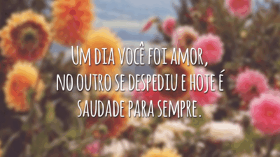 Um dia você foi amor, no outro se despediu e hoje é saudade para sempre.
