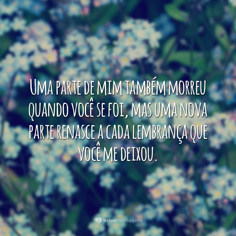 Uma parte de mim também morreu quando você se foi, mas uma nova parte renasce a cada lembrança que você me deixou.