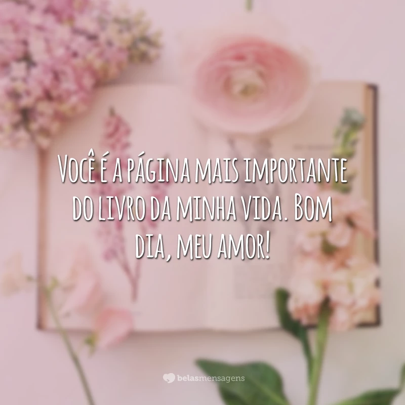 Você é a página mais importante do livro da minha vida. Bom dia, meu amor!