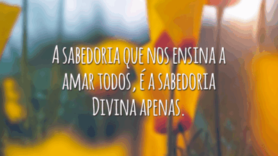 A sabedoria que nos ensina a amar todos, é a sabedoria Divina apenas.