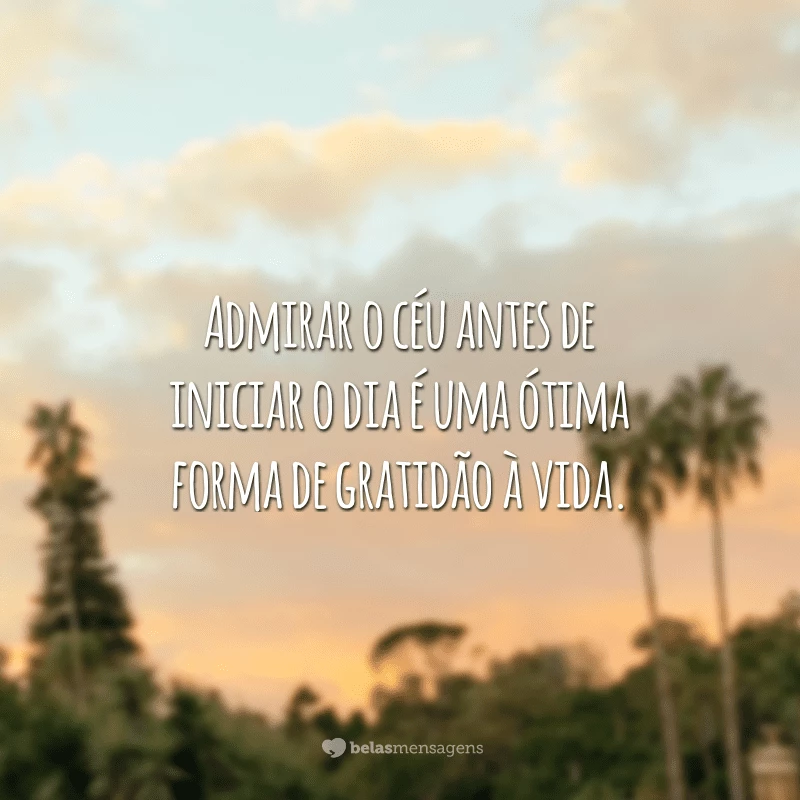 Admirar o céu antes de iniciar o dia é uma ótima forma de gratidão à vida.