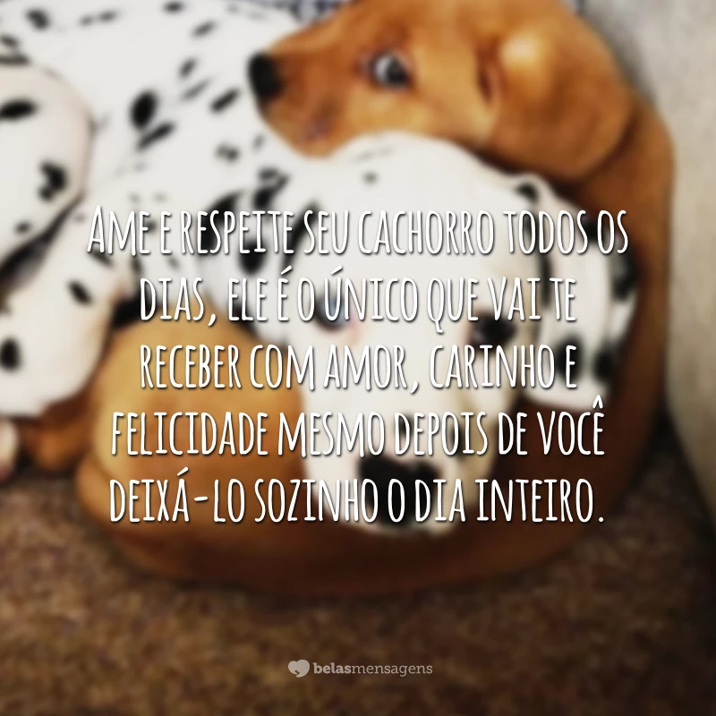 Ame e respeite seu cachorro todos os dias, ele é o único que vai te receber com amor, carinho e felicidade mesmo depois de você deixá-lo sozinho o dia inteiro.