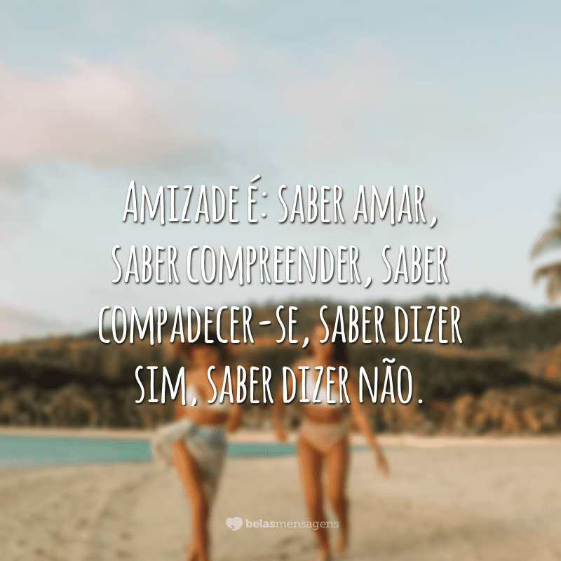 Amizade é: saber amar, saber compreender, saber compadecer-se, saber dizer sim, saber dizer não.