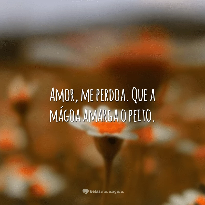 Amor, me perdoa. Que a mágoa amarga o peito.