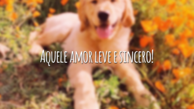 Aquele amor leve e sincero!