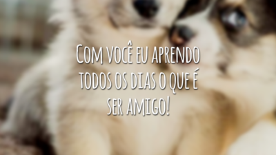 Com você eu aprendo todos os dias o que é ser amigo!