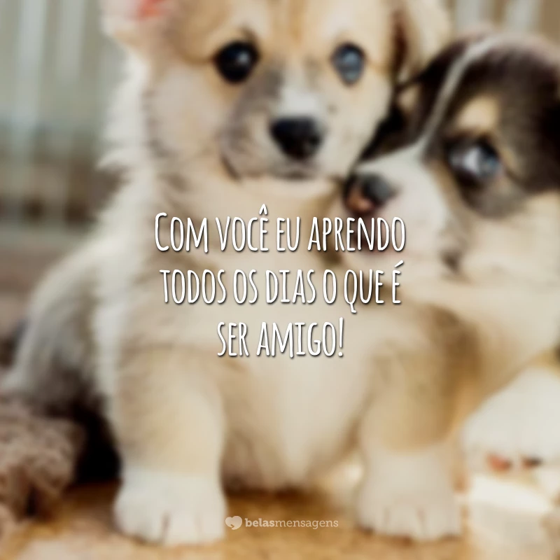 Com você eu aprendo todos os dias o que é ser amigo!