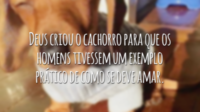 Deus criou o cachorro para que os homens tivessem um exemplo prático de como se deve amar.