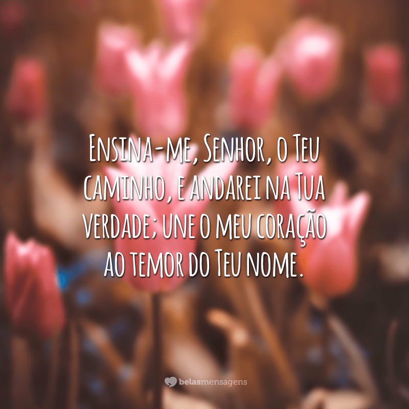 Ensina-me, Senhor, o Teu caminho, e andarei na Tua verdade; une o meu coração ao temor do Teu nome.