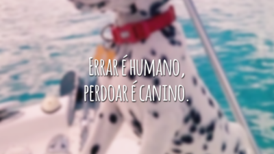 Errar é humano, perdoar é canino.