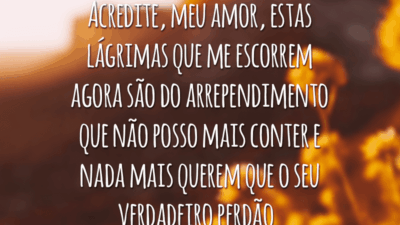 Acredite, meu amor, estas lágrimas que me escorrem agora são do arrependimento que não posso mais conter e nada mais querem que o seu verdadeiro perdão.