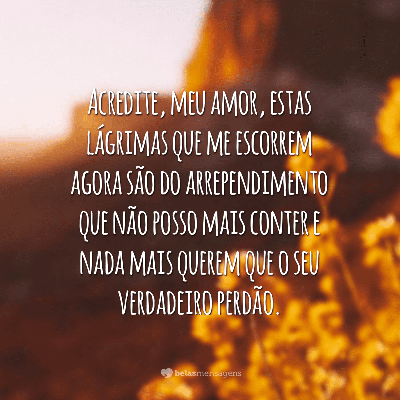 Acredite, meu amor, estas lágrimas que me escorrem agora são do arrependimento que não posso mais conter e nada mais querem que o seu verdadeiro perdão.