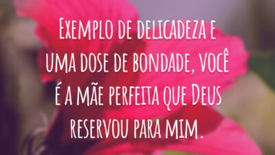 Exemplo de delicadeza e uma dose de bondade, você é a mãe perfeita que Deus reservou para mim.