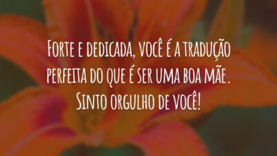 Forte e dedicada, você é a tradução perfeita do que é ser uma boa mãe. Sinto orgulho de você!