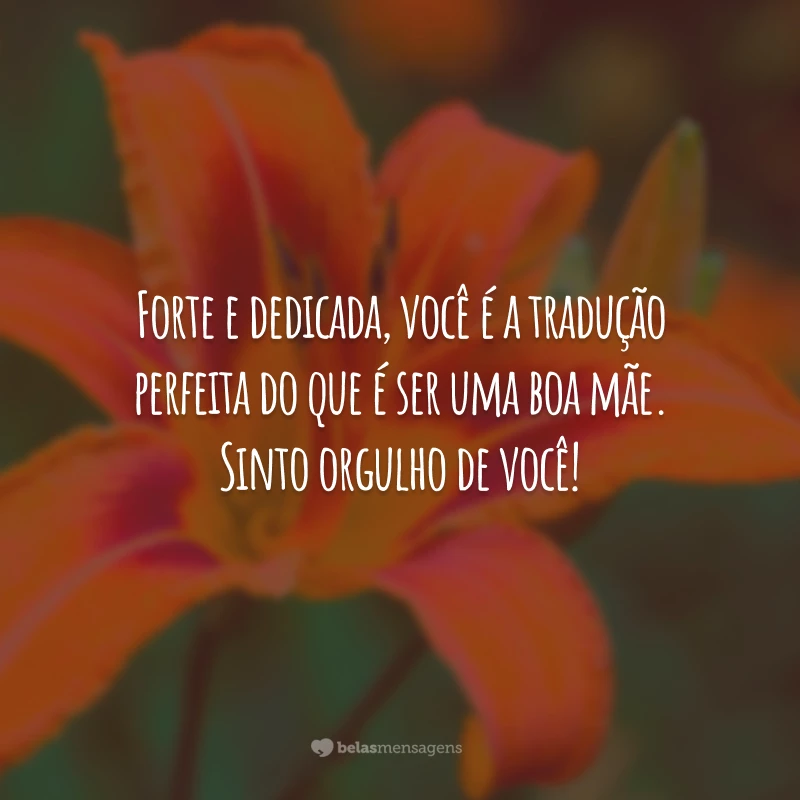 Forte e dedicada, você é a tradução perfeita do que é ser uma boa mãe. Sinto orgulho de você!