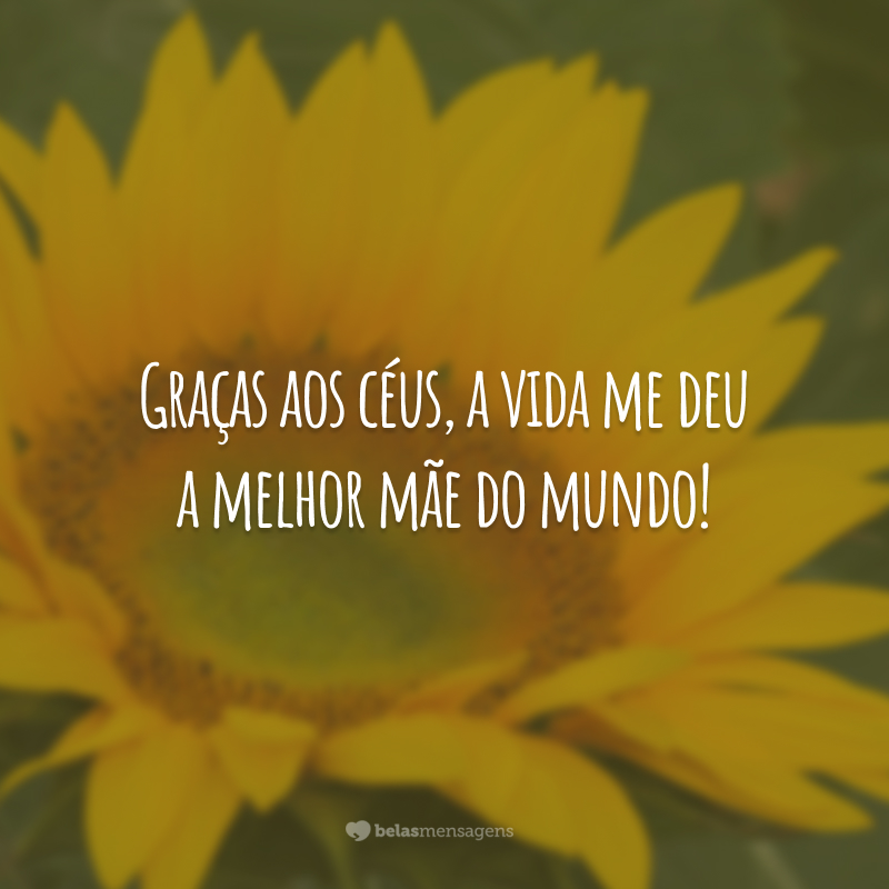 Graças aos céus, a vida me deu a melhor mãe do mundo!