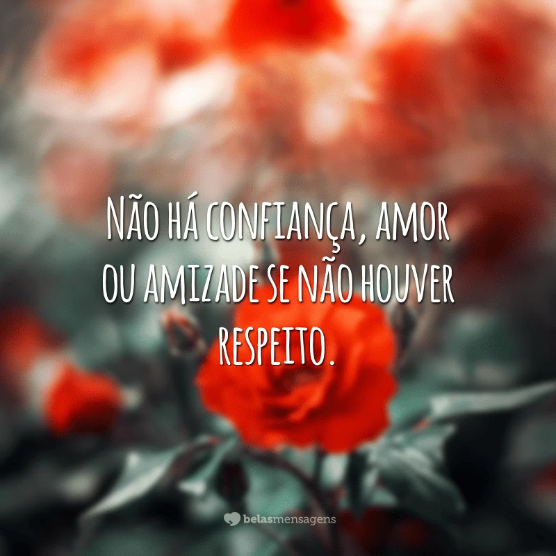 Não há confiança, amor ou amizade se não houver respeito.