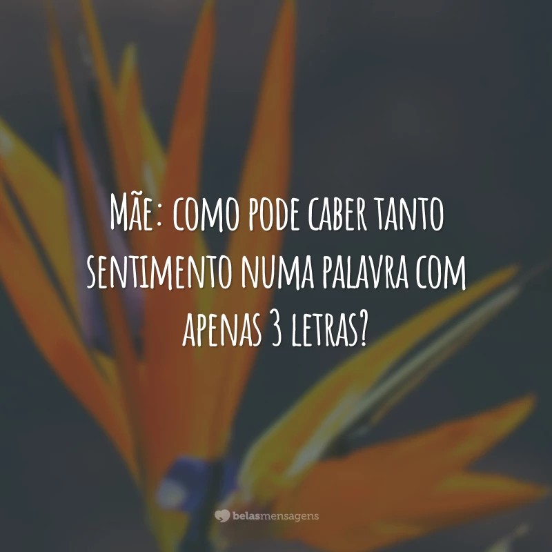 Mãe: como pode caber tanto sentimento numa palavra com apenas 3 letras?