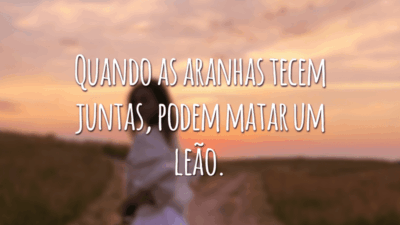 Quando as aranhas tecem juntas, podem matar um leão.