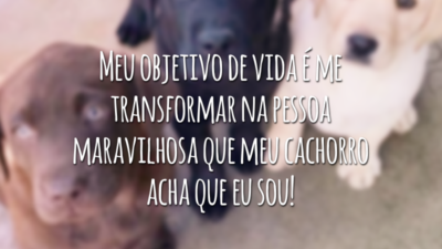Meu objetivo de vida é me transformar na pessoa maravilhosa que meu cachorro acha que eu sou!
