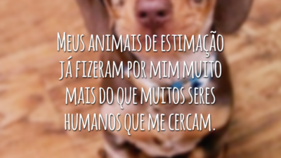 Meus animais de estimação já fizeram por mim muito mais do que muitos seres humanos que me cercam.