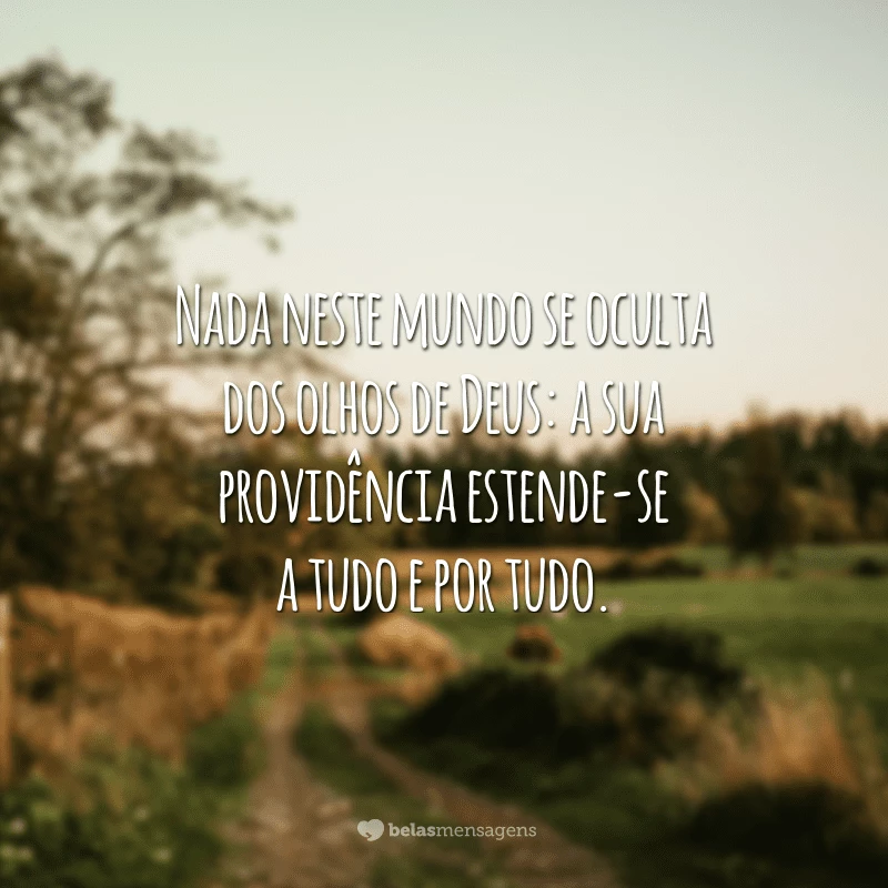 Nada neste mundo se oculta dos olhos de Deus: a sua providência estende-se a tudo e por tudo.