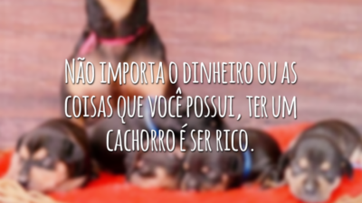 Não importa o dinheiro ou as coisas que você possui, ter um cachorro é ser rico.
