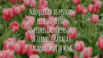 Não julgue as pessoas pelo seu jeito! Os piores ladrões estão de terno, gravata e falando muito bem!