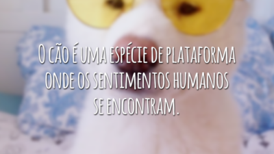 O cão é uma espécie de plataforma onde os sentimentos humanos se encontram.