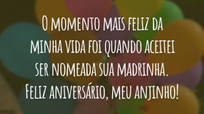 O momento mais feliz da minha vida foi quando aceitei ser nomeada sua madrinha. Feliz aniversário, meu anjinho!