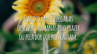 O nosso mal é julgar as opiniões humanas pelo prazer ou pela dor que nos causam.