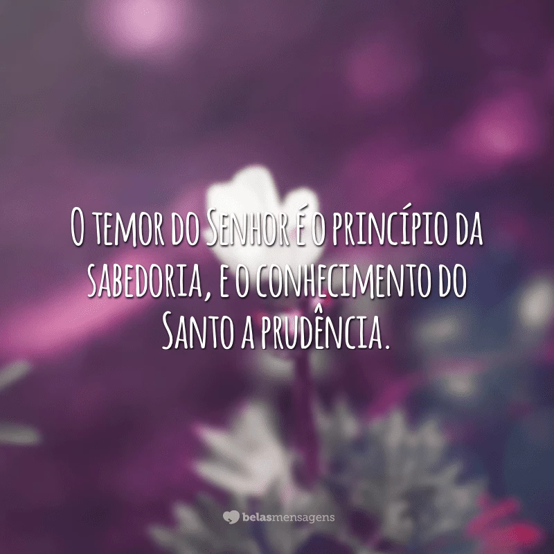 O temor do Senhor é o princípio da sabedoria, e o conhecimento do Santo a prudência.