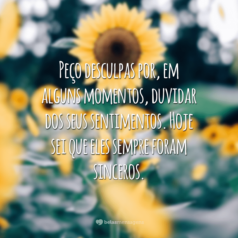 Peço desculpas por, em alguns momentos, duvidar dos seus sentimentos. Hoje sei que eles sempre foram sinceros.