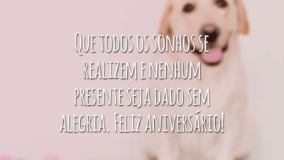Que todos os sonhos se realizem e nenhum presente seja dado sem alegria. Feliz aniversário!