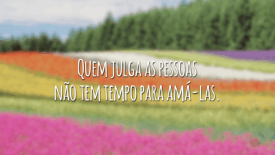Quem julga as pessoas não tem tempo para amá-las.