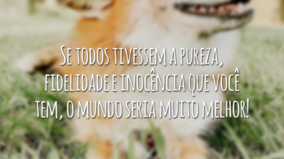 Se todos tivessem a pureza, fidelidade e inocência que você tem, o mundo seria muito melhor!