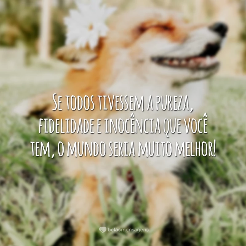 Se todos tivessem a pureza, fidelidade e inocência que você tem, o mundo seria muito melhor!