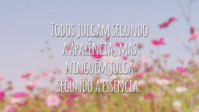 Todos julgam segundo a aparência, mas ninguém julga segundo a essência.