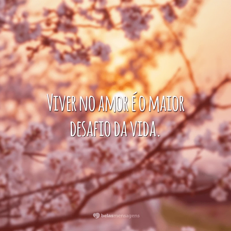 Viver no amor é o maior desafio da vida.