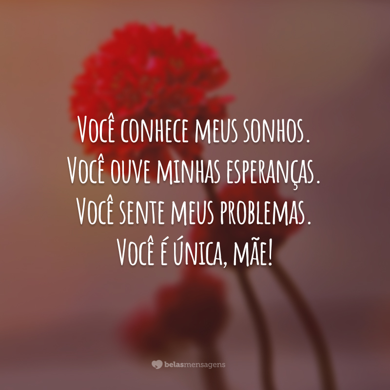 Você conhece meus sonhos. Você ouve minhas esperanças. Você sente meus problemas. Você é única, mãe!