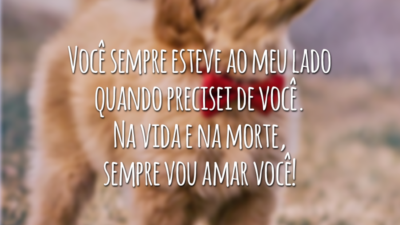 Você sempre esteve ao meu lado quando precisei de você. Na vida e na morte, sempre vou amar você!