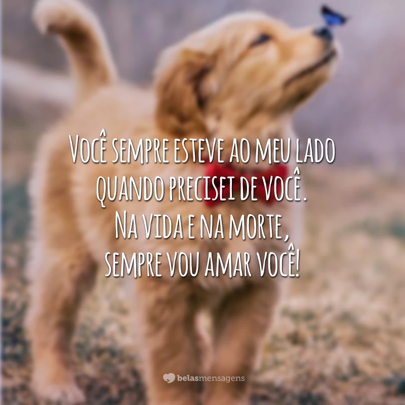 Você sempre esteve ao meu lado quando precisei de você. Na vida e na morte, sempre vou amar você!