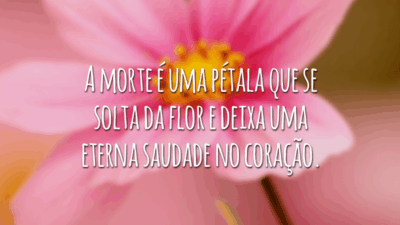 A morte é uma pétala que se solta da flor e deixa uma eterna saudade no coração.