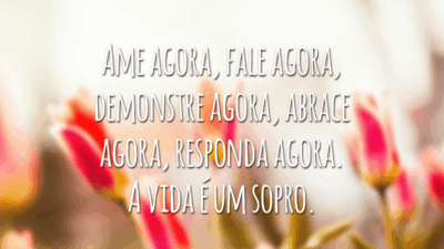 Ame agora, fale agora, demonstre agora, abrace agora, responda agora. A vida é um sopro.