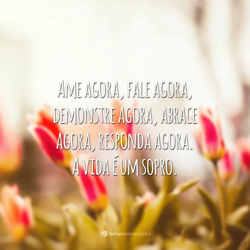 Ame agora, fale agora, demonstre agora, abrace agora, responda agora. A vida é um sopro.