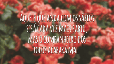 Aquele que anda com os sábios
será cada vez mais sábio,
mas o companheiro dos tolos acabará mal.