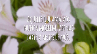 Aqueles que amamos nunca morrem, apenas partem antes de nós.