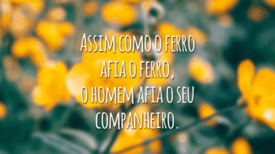 Assim como o ferro afia o ferro,
o homem afia o seu companheiro.